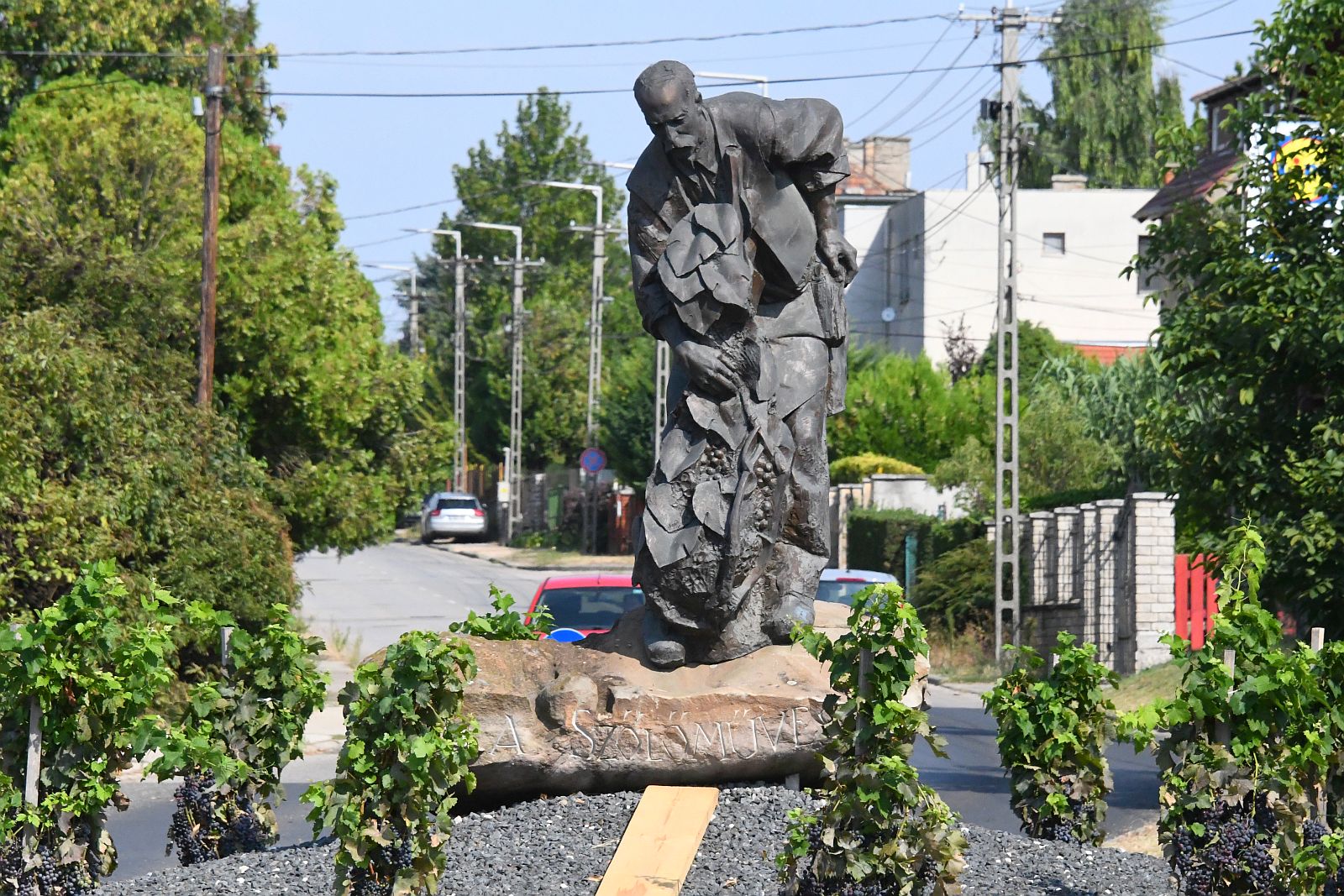 Előre a Fiskális úton - virtuális kirándulás hajdani öreghegyi nyaralók és présházak környékén